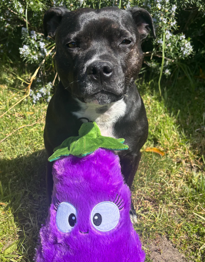 Pals For Paws Plush Eggwina Eggplant