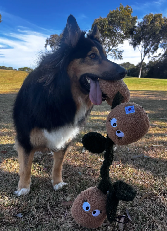 Pals For Paws Kiwi The Tug Plush Dog Toy