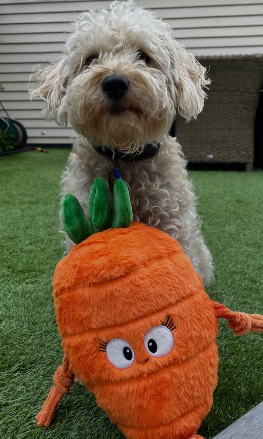 Pals for Paws Plush Carrot