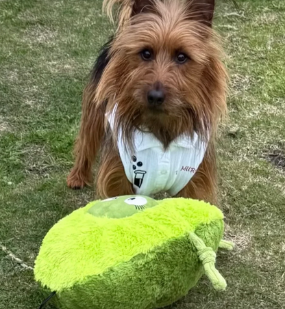 Smashy Avocado™ Eco-Friendly Plush Dog Toy | Tug & Play|Pals For Paws™
