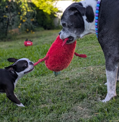 Spicy Chilli ™ Eco-Friendly Plush Dog Toy | Tug & Play|Pals For Paws™