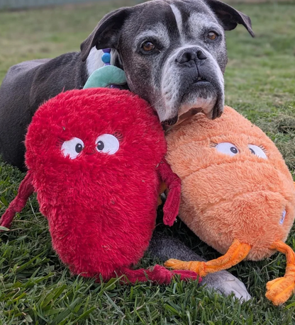 Spicy Chilli ™ Eco-Friendly Plush Dog Toy | Tug & Play|Pals For Paws™