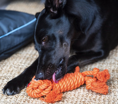 Ideal to keep your dog occupied any time.