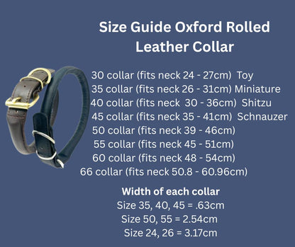 Angel Oxford Rolled Leather Dog Collar Brown