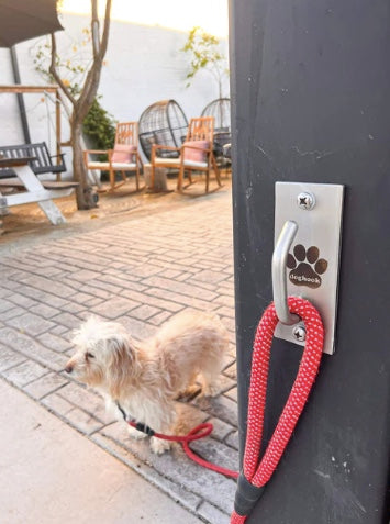 Dog hook for a lead NZ