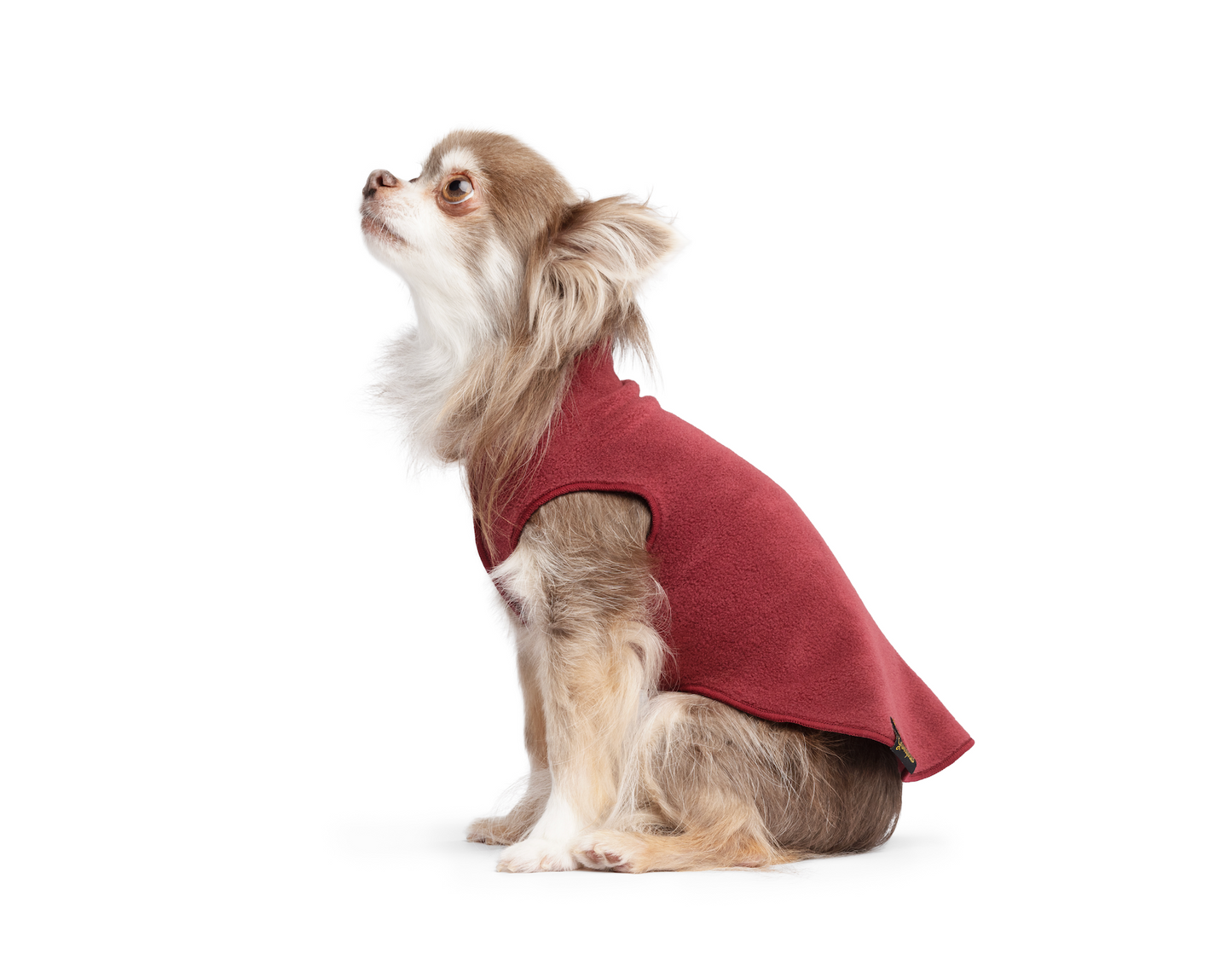 winter dog coat NZ