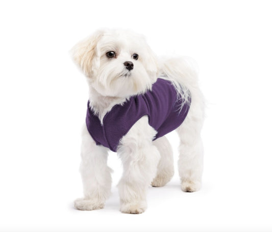 Small dog wearing the Huckleberry Stretch Fleece.