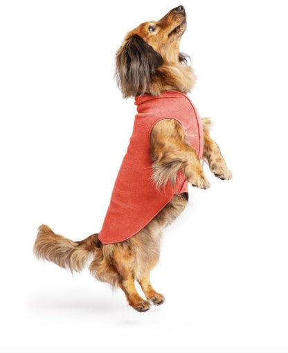 Small dog very cosy in our stretch fleece dog coat Paprika.