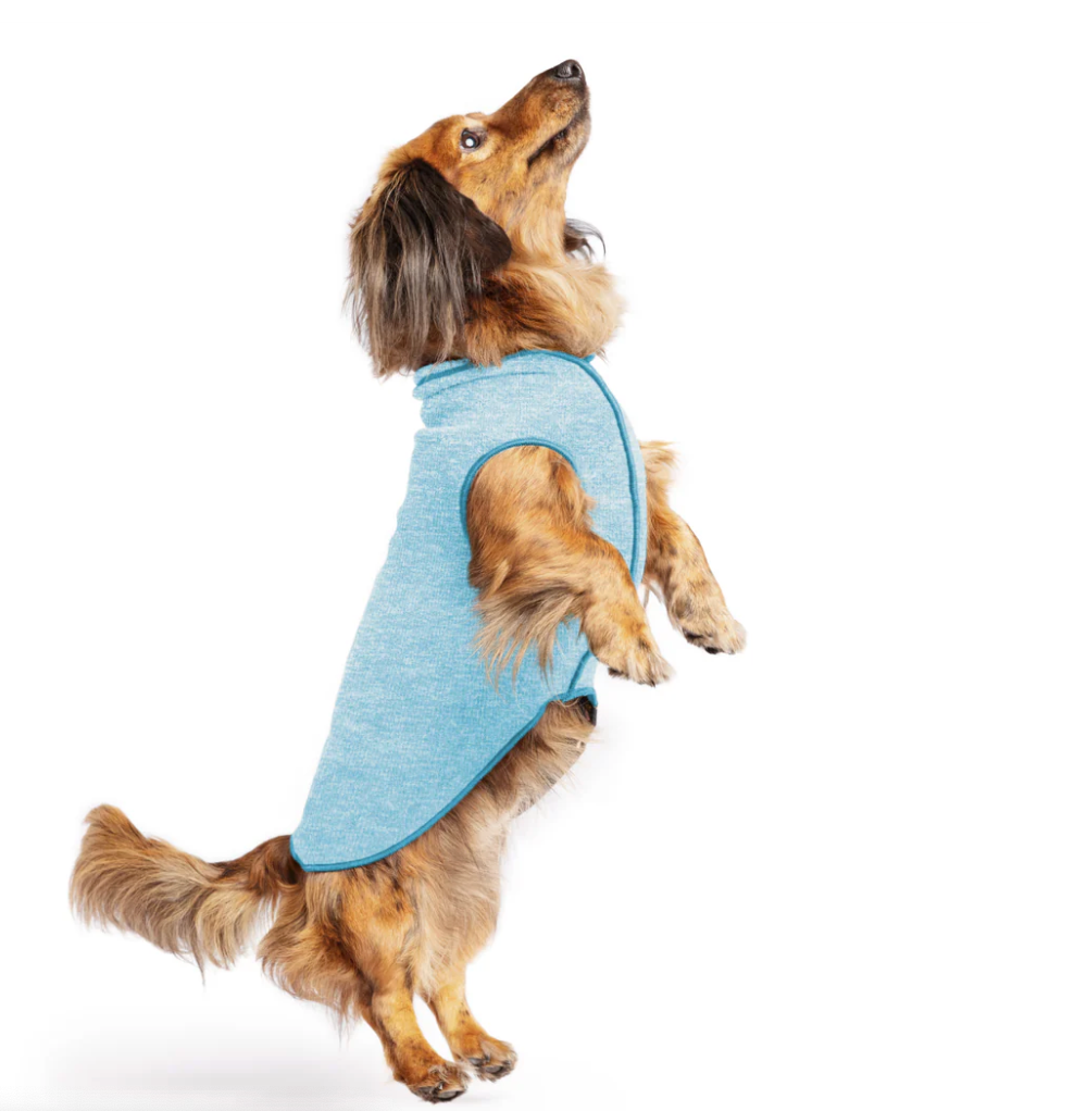 Sun Tee For dogs Ocean