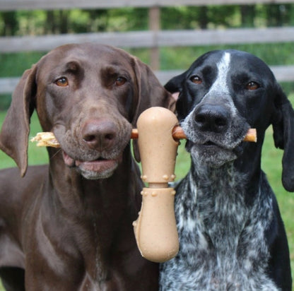 Two dogs holding the Tall Tails chew toy