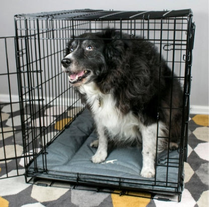 Dog sitting in a crate on the Tall Tails crate bed.