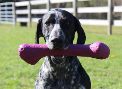 GSP holding the Natural rubber dog bone toy 