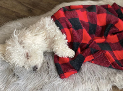 A gorgeous small dog curled up in its plaid dog blanket.