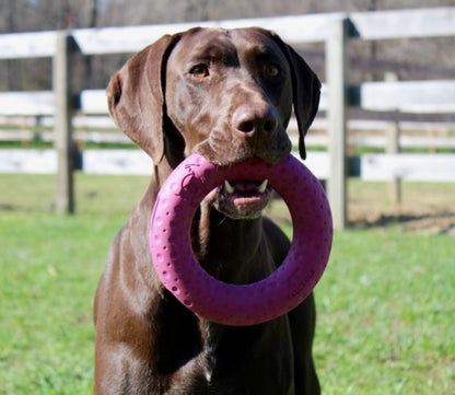 Rubber ring dog toy for large dogs