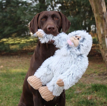 Suitable for medium to large dogs