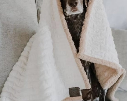 German Pointer dog cosy in a Tall Tails dog blanket.