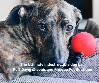 Dogs just love these balls.