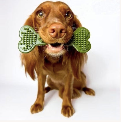 Dog holding a Vegetarian Bumpi Bone Dog Treat New Zealand