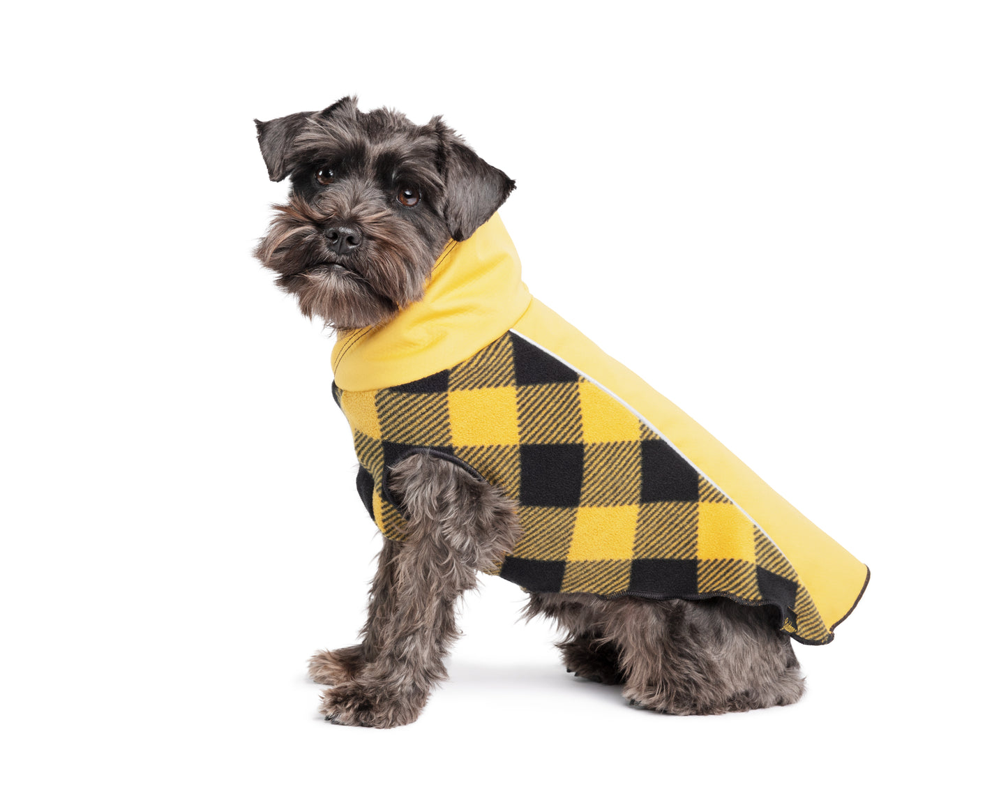 Dog jacket NZ