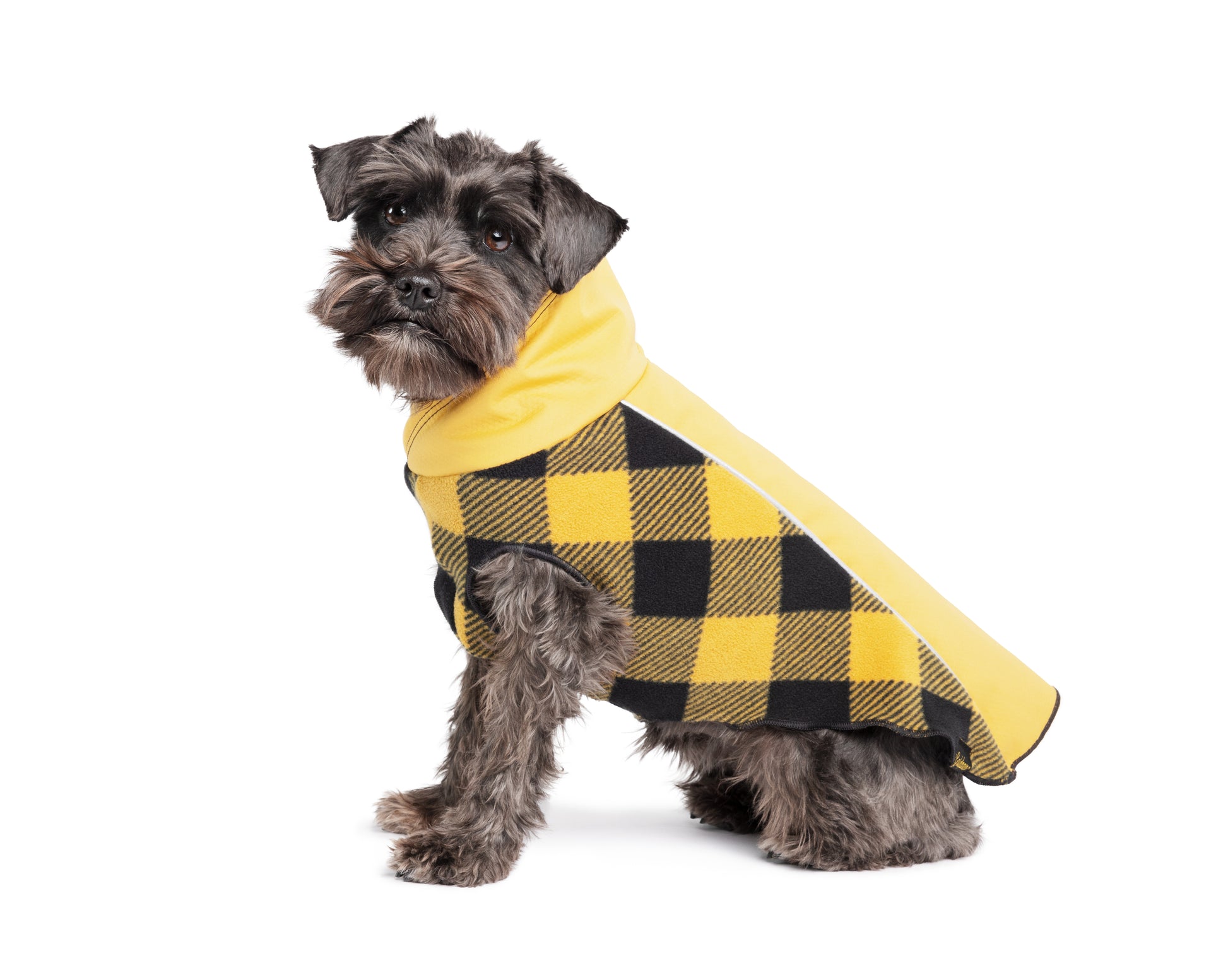 Dog jacket NZ