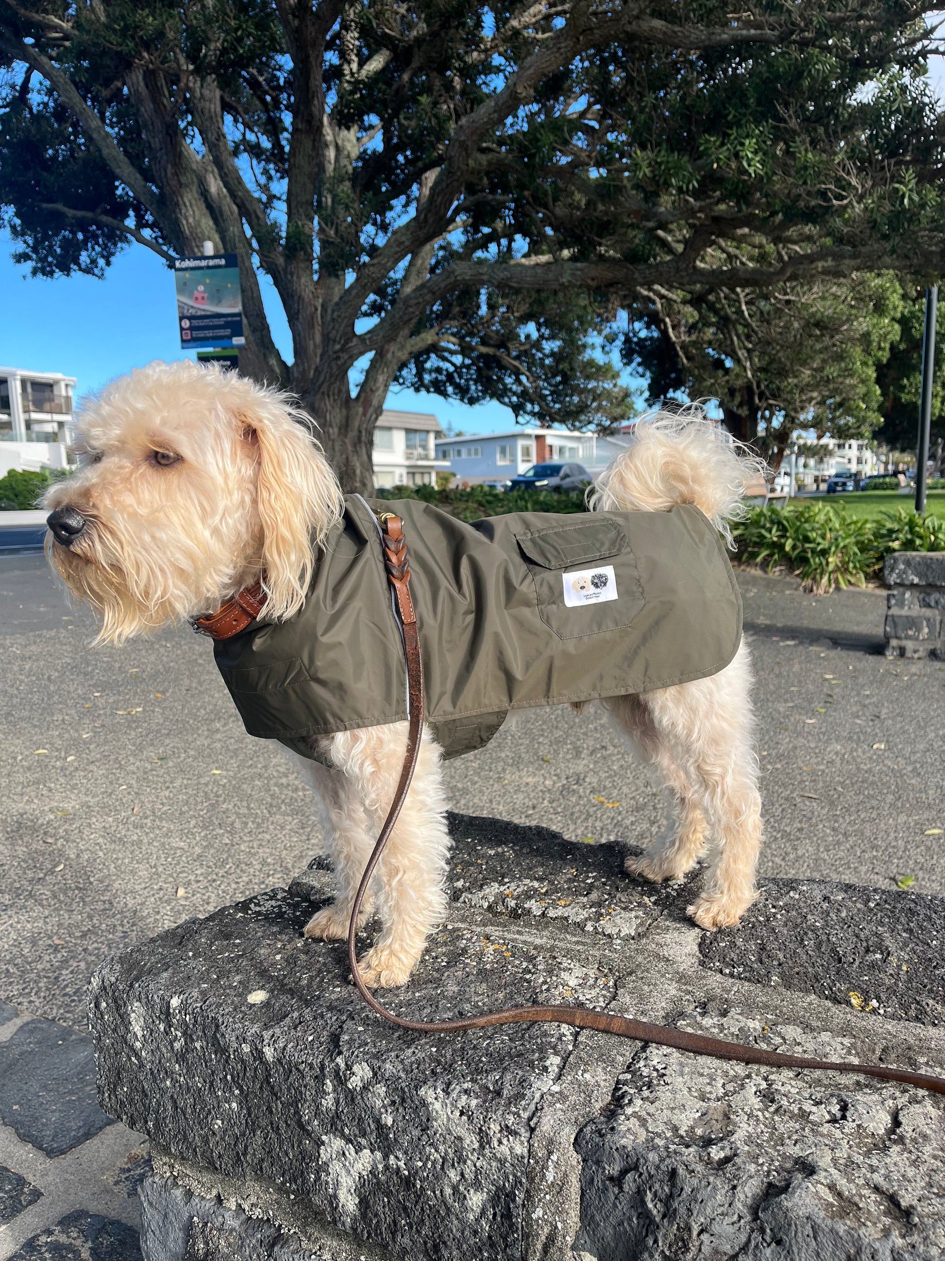 Dog coat with harness hole New Zealand