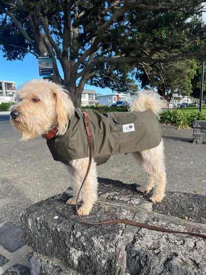 Dog coat with harness hole New Zealand