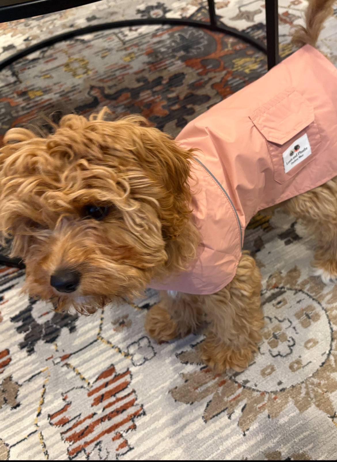 Lightweight waterproof dog raincoat NZ