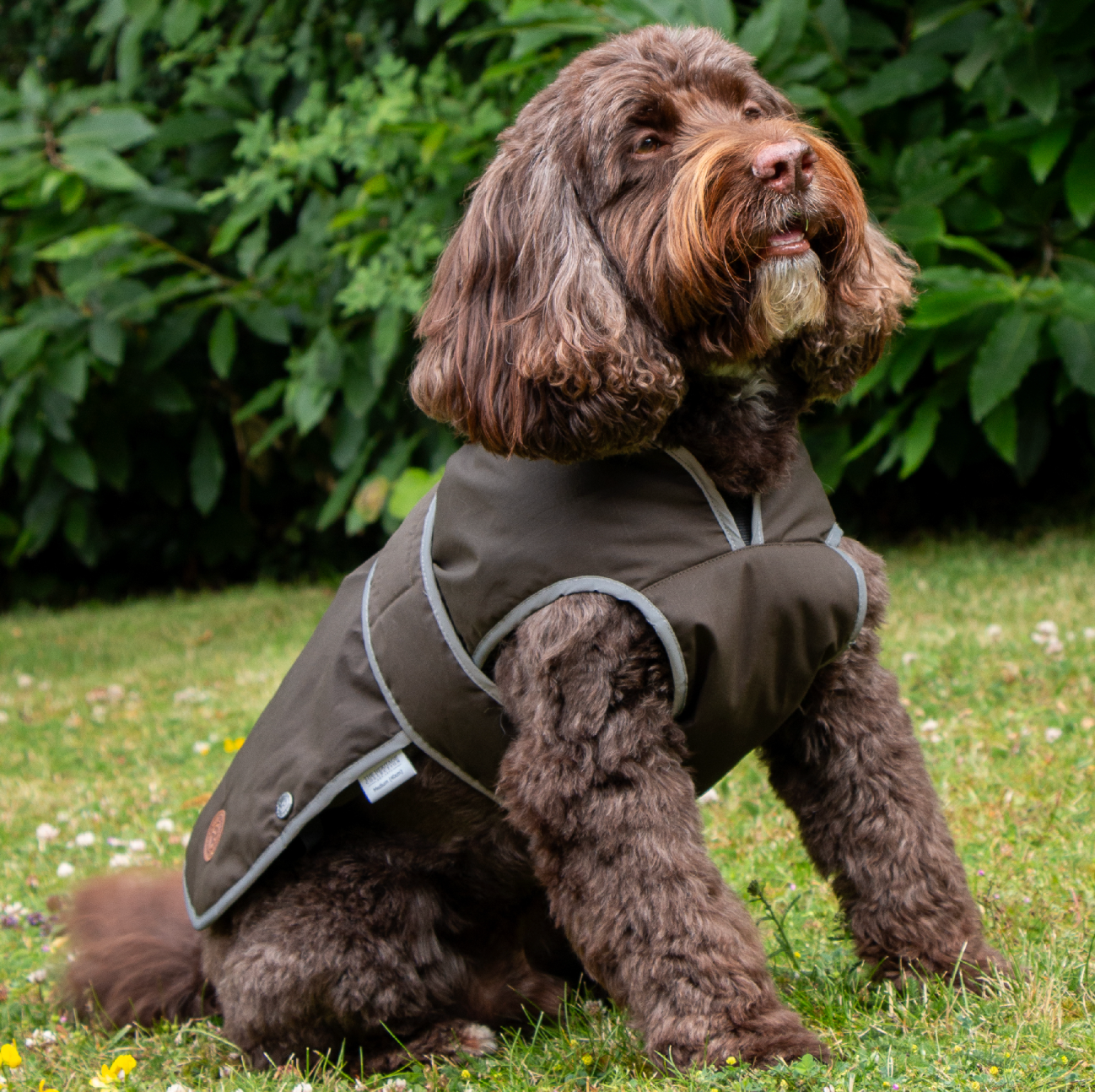 Fleece lined dog coat NZ
