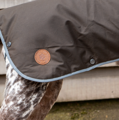 Warm dog coat for winter NZ
