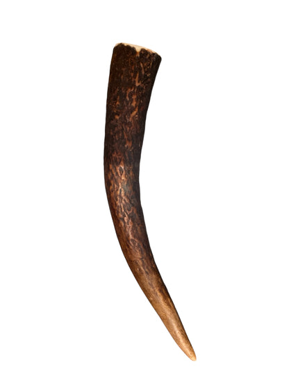 Natural deer antler treat for dogs wild caught in New Zealand.