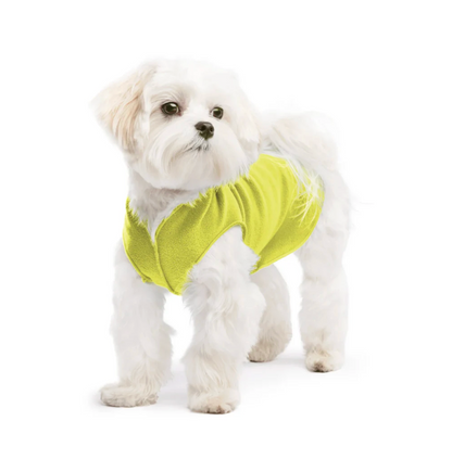 small dog wear NZ