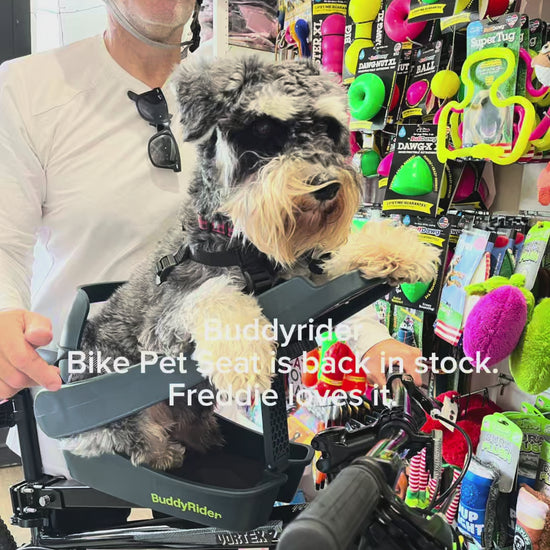 Buddyrider Pet Bike Seat Nw Zealand