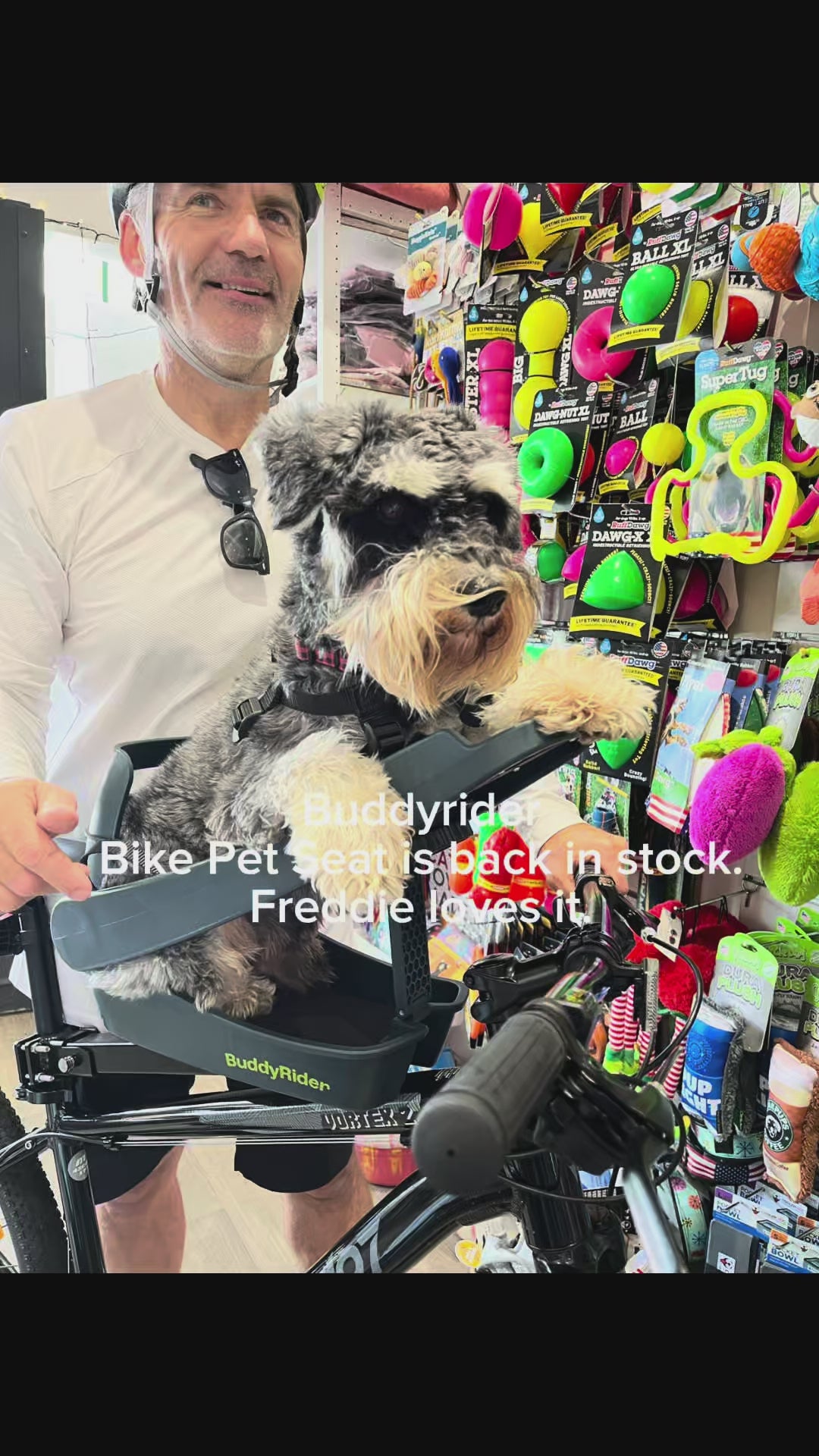 Buddyrider Pet Bike Seat Nw Zealand