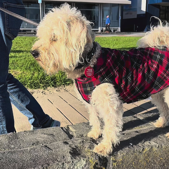 Dog Stretch Fleece For winter NZ