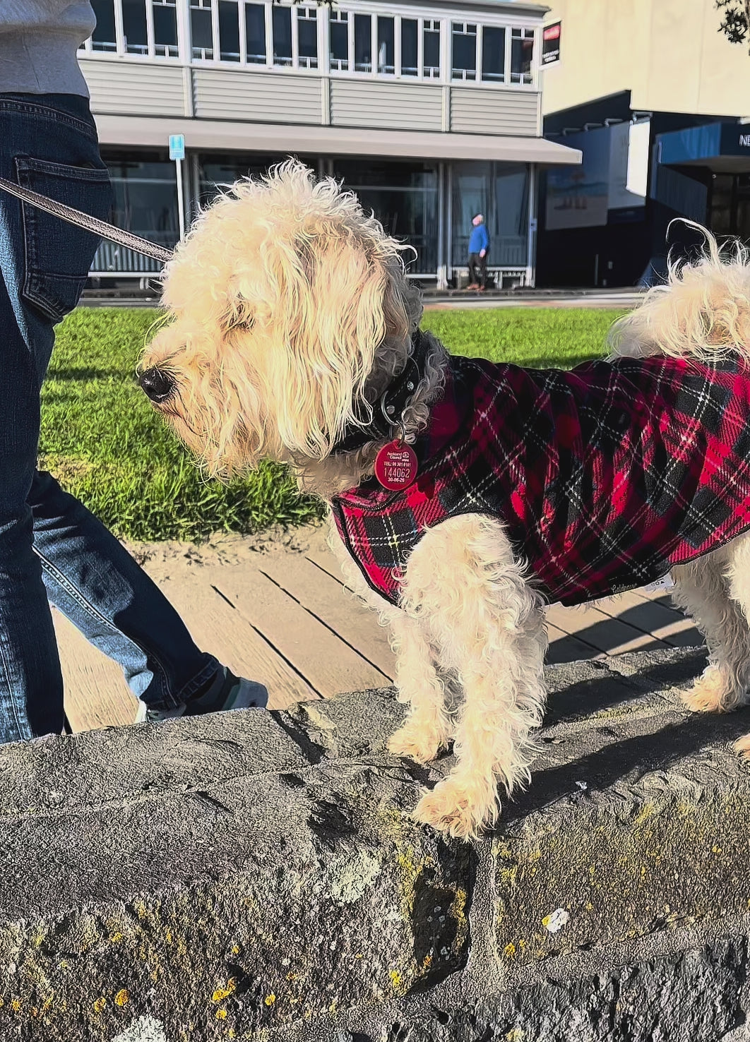 Dog Stretch Fleece For winter NZ
