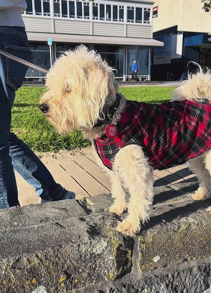 Dog Stretch Fleece For winter NZ