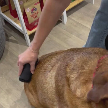 Dog in store trying out the Louis and Phoebe The Groomer Pet De-Shedding Comb.