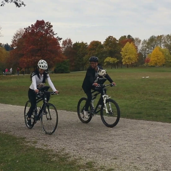 Buddyrider Bike Pet Carrier