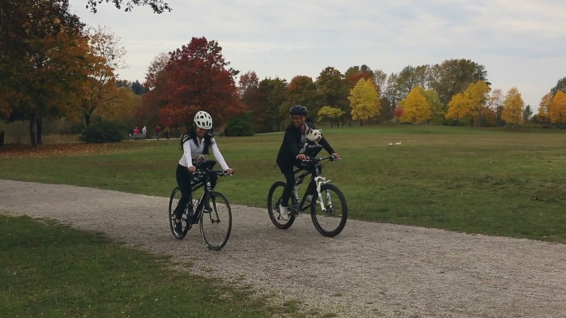 Buddyrider Bike Pet Carrier