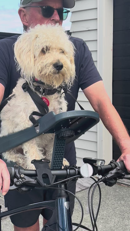 Buddyrider Series 2 Bike Pet Seat