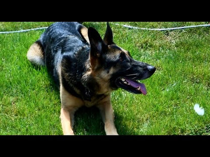 OnGuard Ultrasonic Dog Trainer and Barking Device