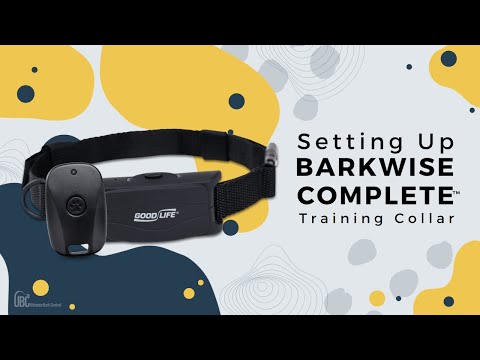 Anti Bark Collar for dogs NZ